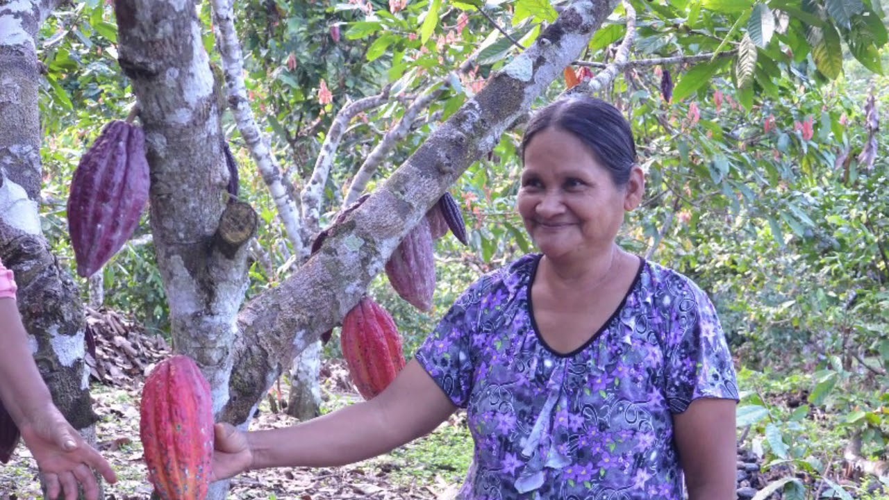 Practical Action - ANDE Gender Lens Impact Measurement (GLIM) Program