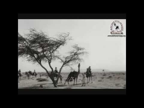 Sujevjerje Arapa - tetajjur i ezlam