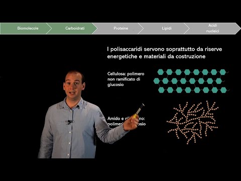 Biomolecules: Carbohydrates