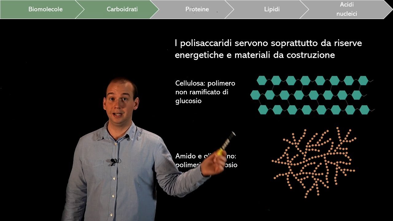 Le biomolecole: i Carboidrati