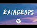 Metro Boomin Raindrops Lyrics Feat Travis Scott