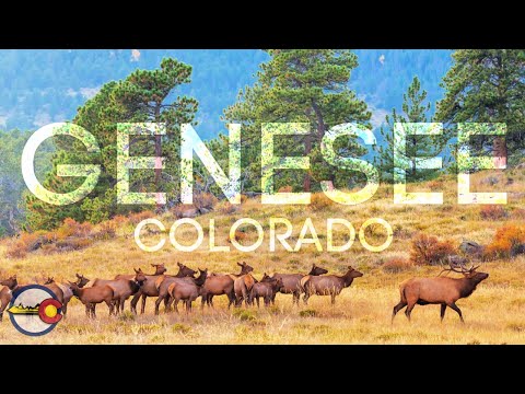 Genesee Colorado - Foothills Community