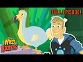 Back In Creature Time Day Of The Dodo Season 3 Full Episode Wild Kratts
