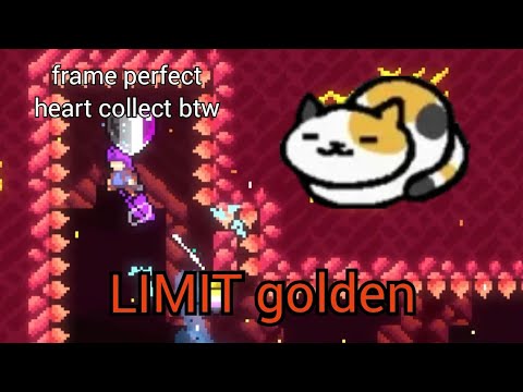 LIMIT golden | KAERRA'S FURRY WEEK
