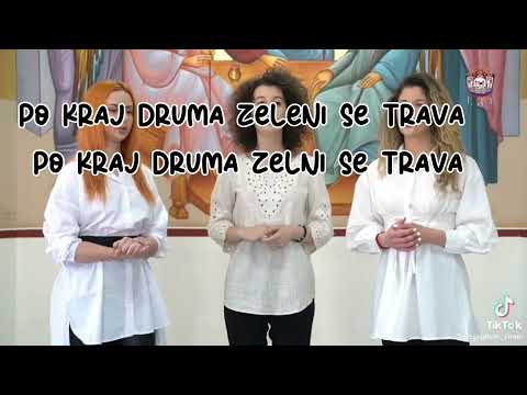 Rasti Rasti moj zeleni bore (Tekst)