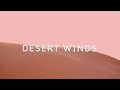 Desert Wind Sounds 10 Hours | Relaxing Desert Wind | Wind Sounds for Relaxing, Sleeping