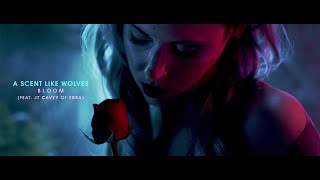 Bloom Music Video