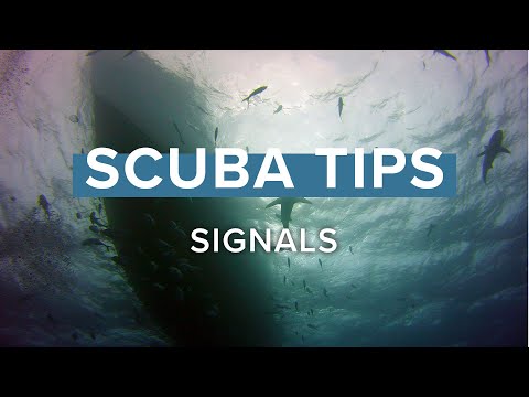 Hand Signals | Top Tips | @simplyscuba