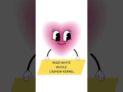 W320 White Wholes Cashew Kernels