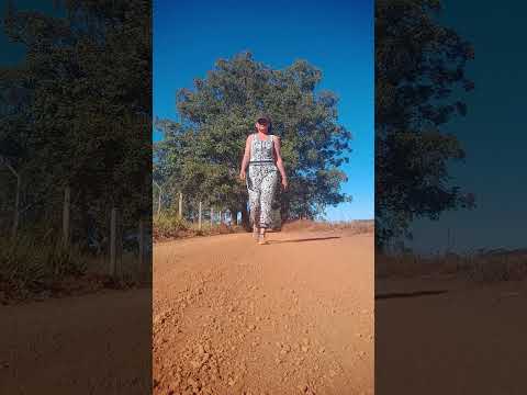 Caminhada sertaneja Comunidade Santa Rita município Vianópolis Goiás Brasil