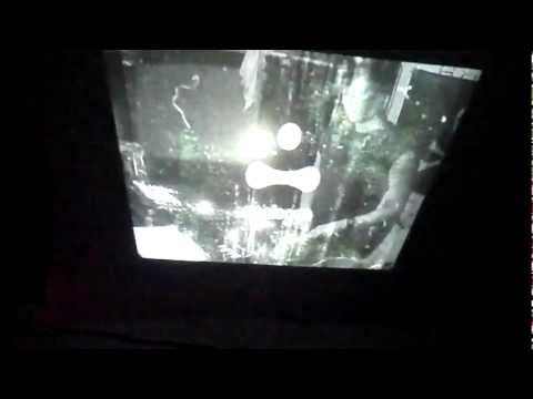 Analogen presents Vault Series: Subjected / 19.10.2012 / Poznan