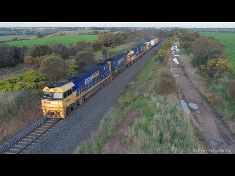 1MP2 Pacific National Steel Train With No Steel Wagons! (25/9/2022) - PoathTV Australian Railways