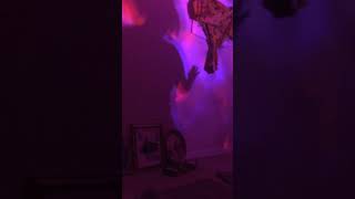 Dancing with my shadow, inspiration for routine of Räven by Hedningarna