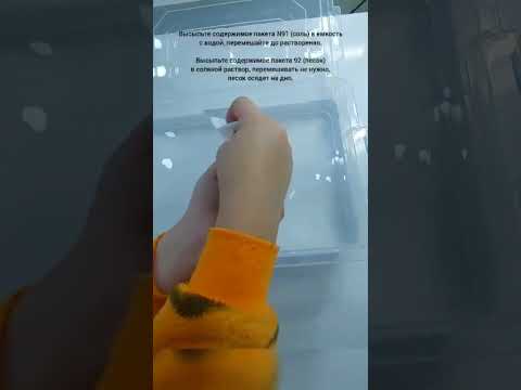 ПИТОМЕЦ ЮРСКОГО ПЕРИОДА. ВЫРАСТИ НАСТОЯЩИХ ЖИВЫХ РАЧКОВ.