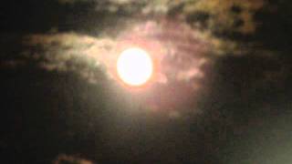 Born on a Train - Arcade Fire