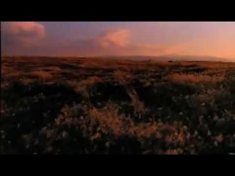 TOUGHNESS OF SPIRIT  (Jim Maclaren & Emmanuel Ofosu Yeboah)