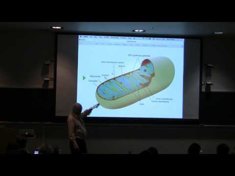 Overview #2 & Review Session for Exam 1 - Kevin Ahern's BB 451 2017