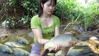 Hunting Wild Fish, Fishing Techniques Catches Many Big Fish Go To Countryside Market Sell