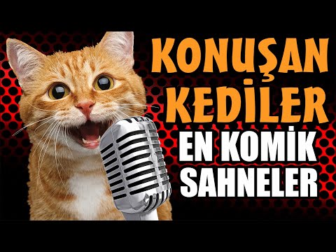 Konuşan Kediler En Komik Sahneler 1.Bölüm - Kahkaha Garantili Video!