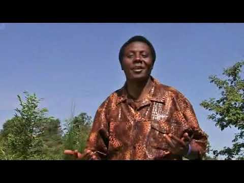 Witirimie Naguo - By Joseph Kariuki -  Kiarutara (Music Video)