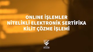 Kamu SM - Online İşlemler NES Kilit Çözme