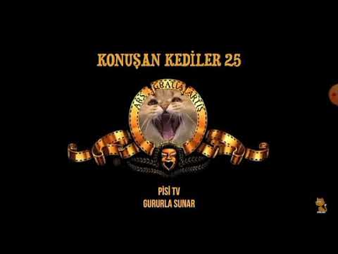konuşan kediler 25