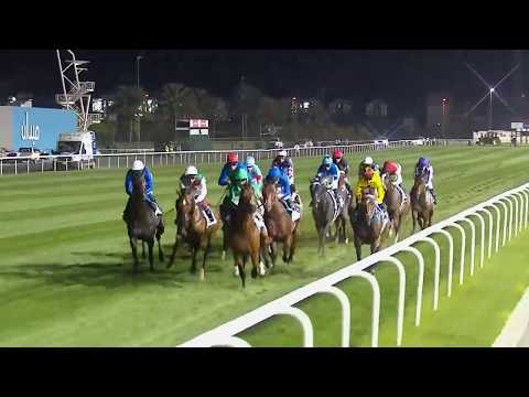 匿名送料無料☆アーモンドアイ ぬいぐるみ 2019 華々しく