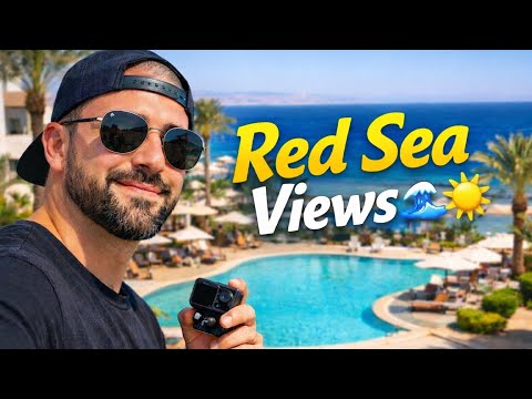 From Dark Room to Red Sea Views! Egypt Vlog 🌊☀️ 