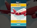 flying - vuelo video thumbnail