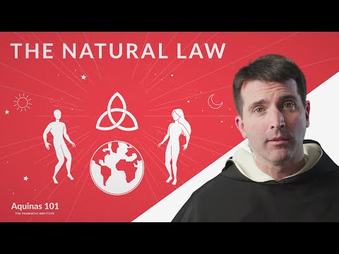 The Natural Law (Aquinas 101)