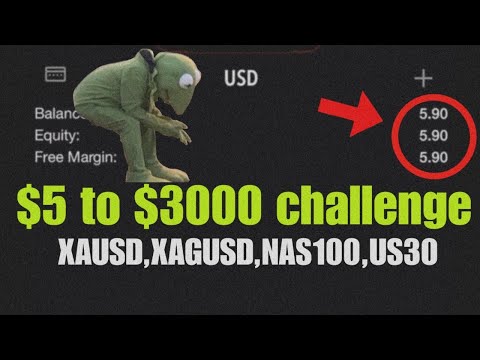 I accepted a $5 to $3000 challenge | results?