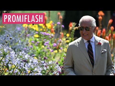 König Charles posiert in imposantem Formschnitt-Garten