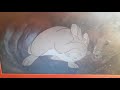 Watership Down Final Battle Scene Bigwig Vs General Woundwort Dog Attack