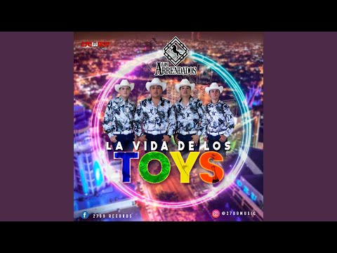 La Vida De Los Toys
