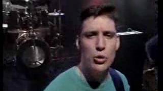 Sunnyboys 'Comes As No Surprise'