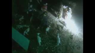 preview picture of video 'Dive Torri del Benaco'