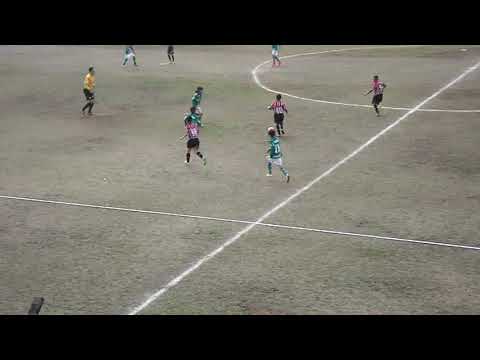 Palmeiras x são paulo sub 11 2018