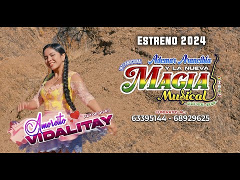 Amorcito Vidalitay La Nueva Magia Musical Video Oficial 2024