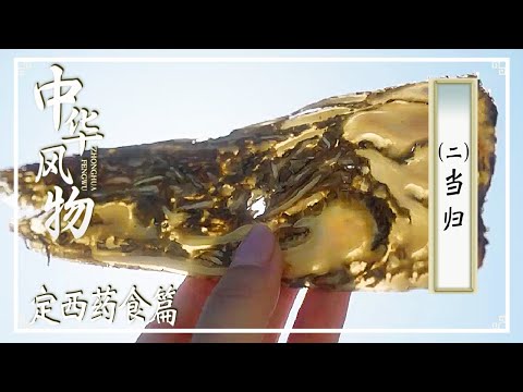 《中华风物》访问“中国当归之乡”：甘肃定西！这里有着中国最大的当归交易市场 —— 定西药食篇 | 美食中国 Tasty China