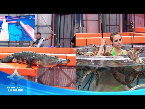 Se enfrentan a LAGARTOS y SERPIENTES | Lo Mejor EstrellaTV
