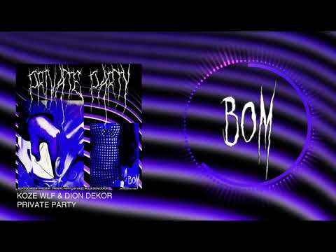 koze wlf - private party ft. dion dekor