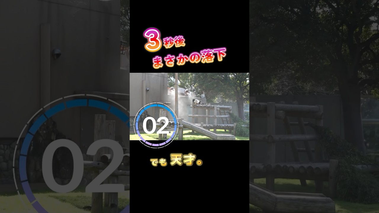 3秒後、まさかの落下。でも天才。