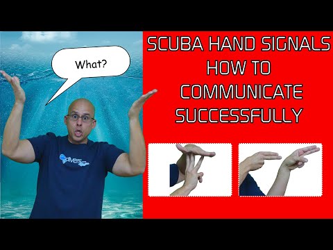 SCUBA Diving Hand Signals Every Diver Should know