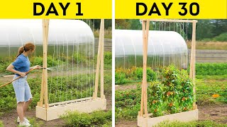 Grow Food All Year: DIY Greenhouse and Vertical Garden Bed for Beginners!