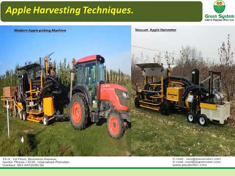 How to Produce Millions of Apple Tree | Harvesting and processing Apple | Info By Emirates Foods UAE