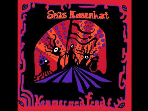 Spids Nøgenhat - Den Gennemsigtige Mand