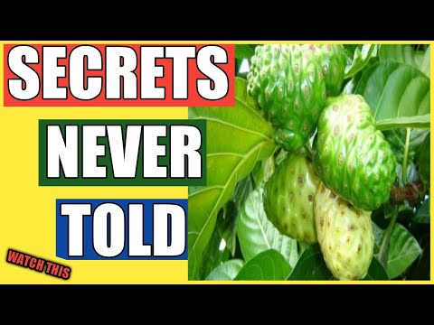 #461  Health Benefits of  Noni Juice | Carica