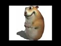 The Reason Low Quality Version