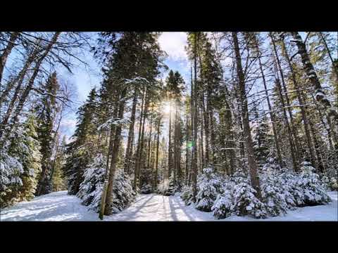 Richard Oschanitzky (1939-1979): Colinde laice (Secular carols)