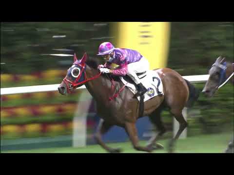 8/6/2022 (737) Excellent Peers - J Moreira